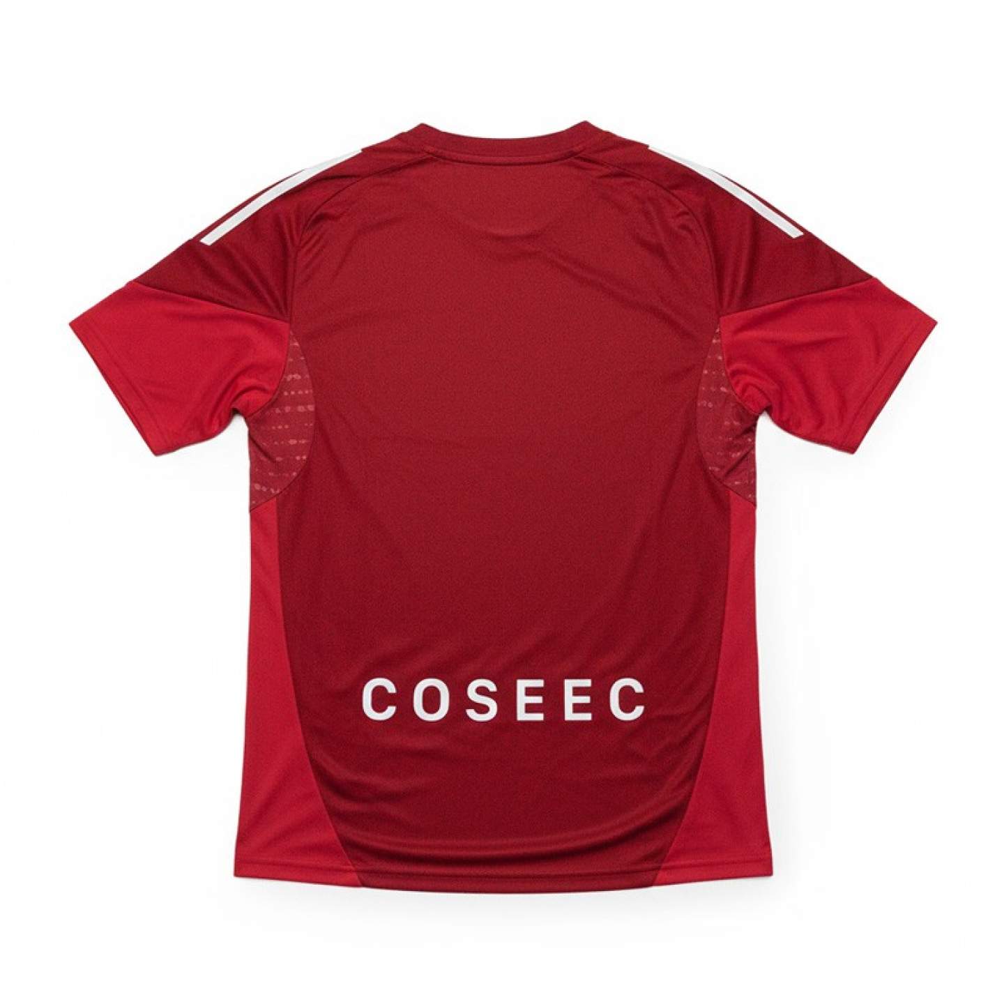 Maillot d'entrainement 25/26