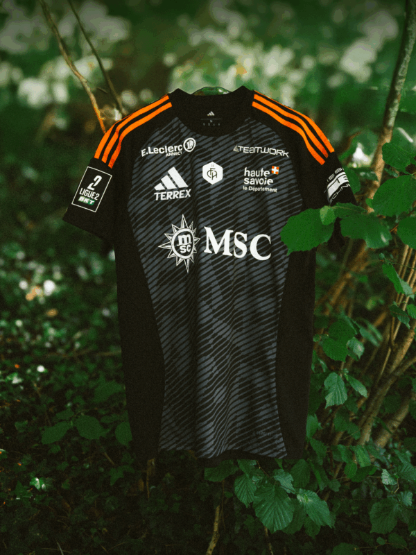 Maillot Third Authentique adidas TERREX 25/26